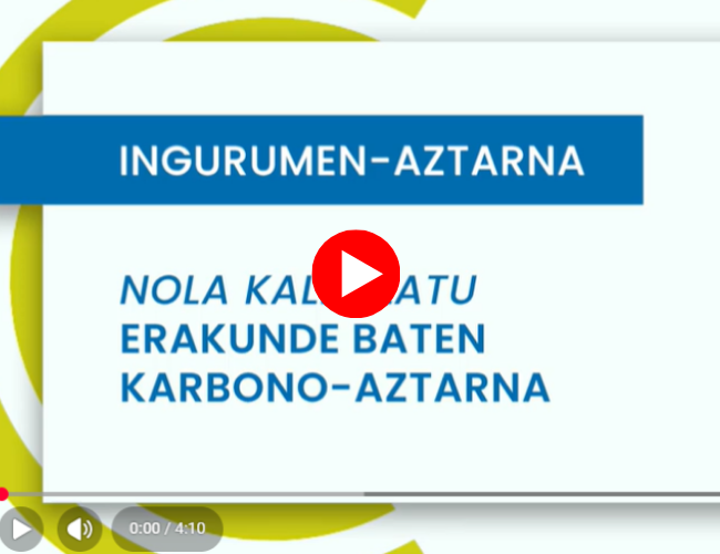 Organizazioa
