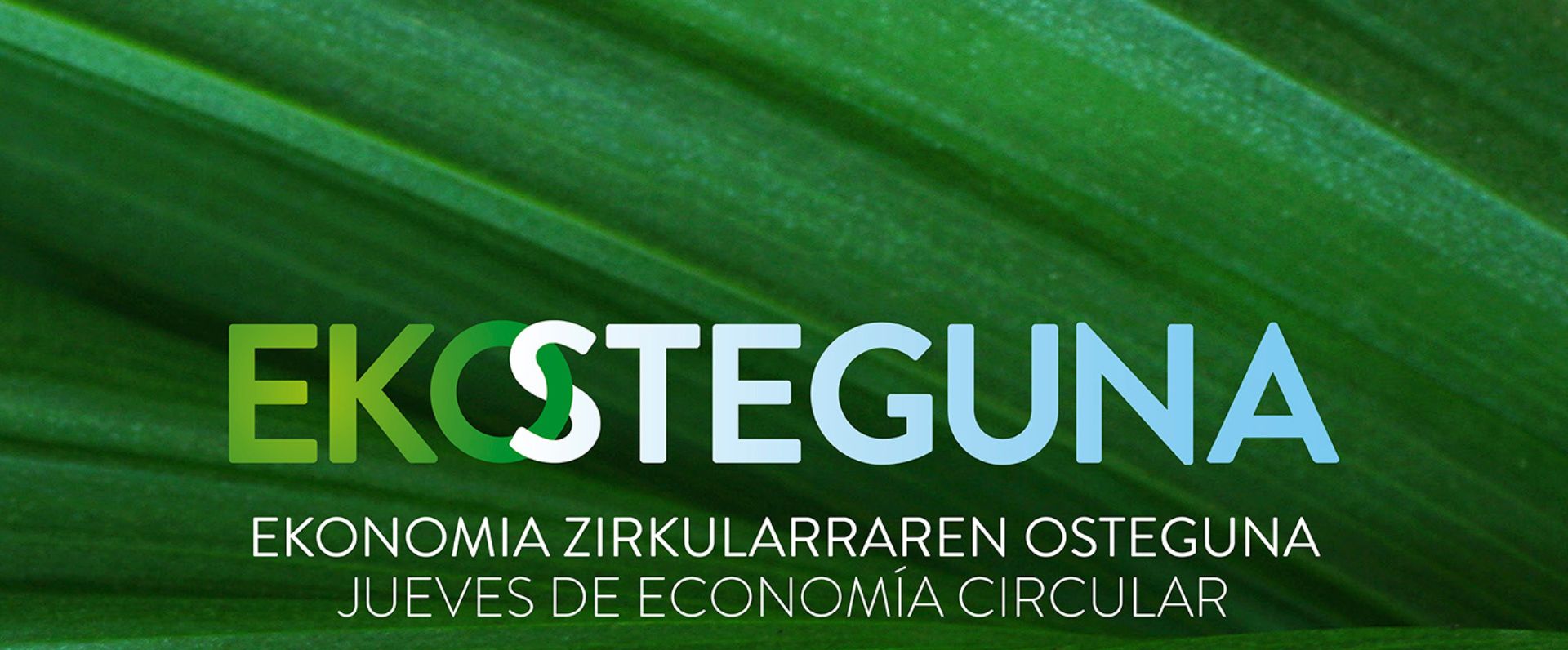 Ihobek Ekostegunak berreskuratu ditu, euskal enpresetan berrikuntza jasangarria sustatzeko aukera