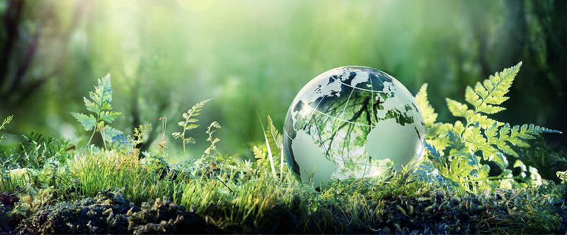 El Gobierno Vasco celebra el Día Mundial del Medio Ambiente con diversas actividades en la Red Ekoetxea