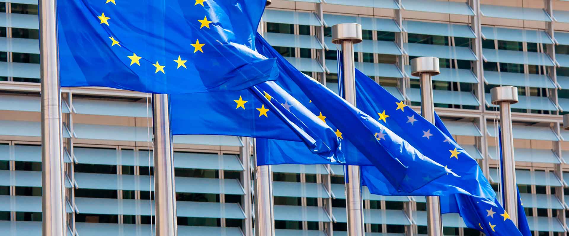 El Pacto Verde Europeo, una hoja de ruta para impulsar la economía sostenible