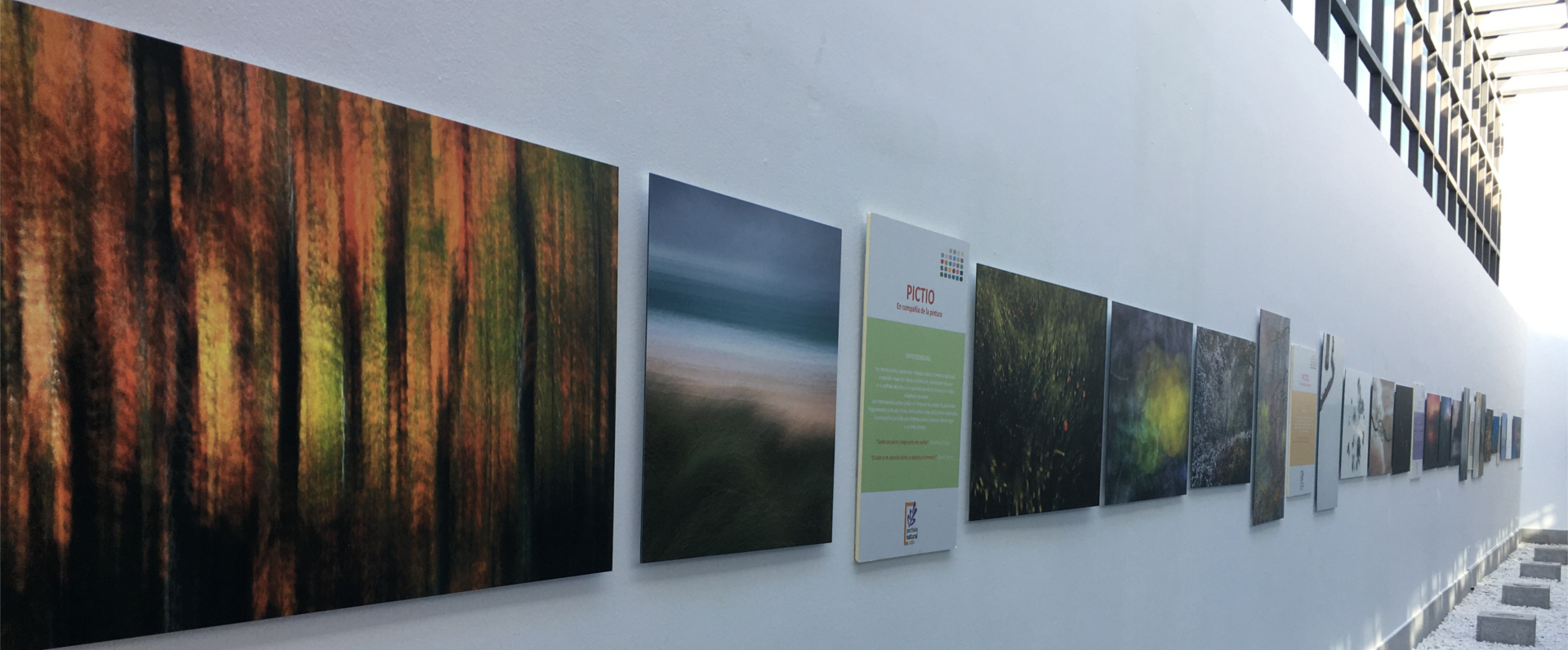 Ekoetxea Urdaibai acoge la exposición Pictio, en compañía de la pintura 