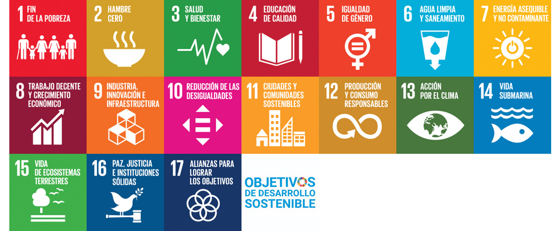 Udalsarea 2030 participa en la elaboración del nuevo sistema de indicadores de seguimiento y evaluación de la Agenda 2030 de Euskadi