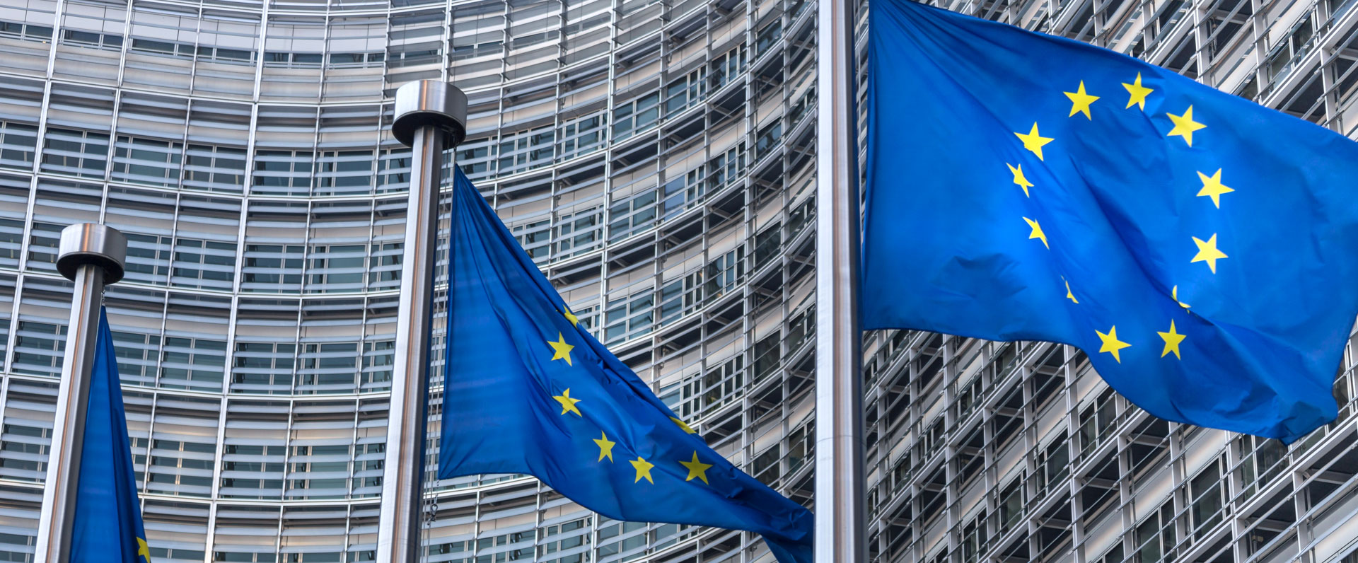 Europako Itun Berdearen ekimen nabarmenenei buruzko jardunaldia