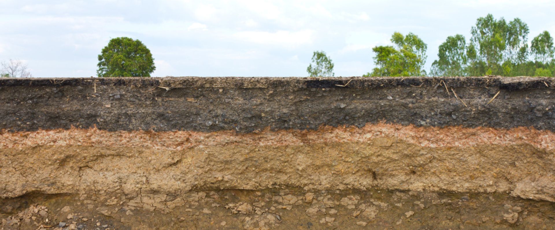 The Basque Country and its soil protection strategy inspiring the European regions of the ERRIN network 