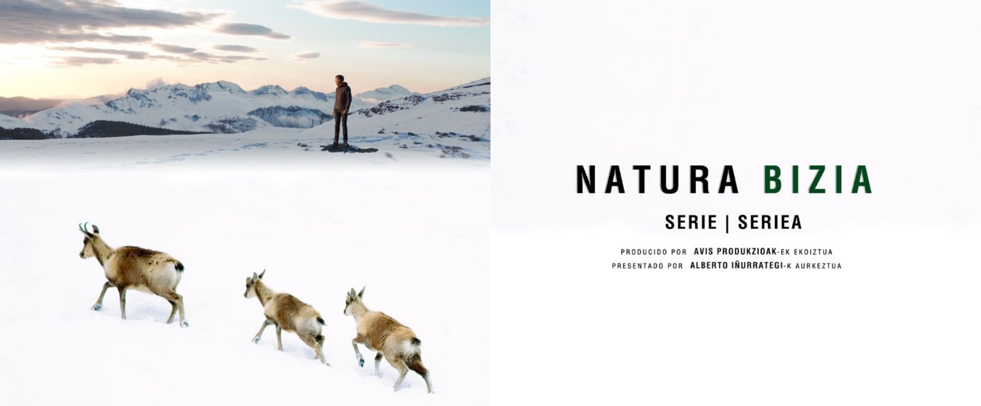 Ihobek babestutako Natura Bizia seriearen gaztelaniazko estreinaldia, gaur gauean ETB2an