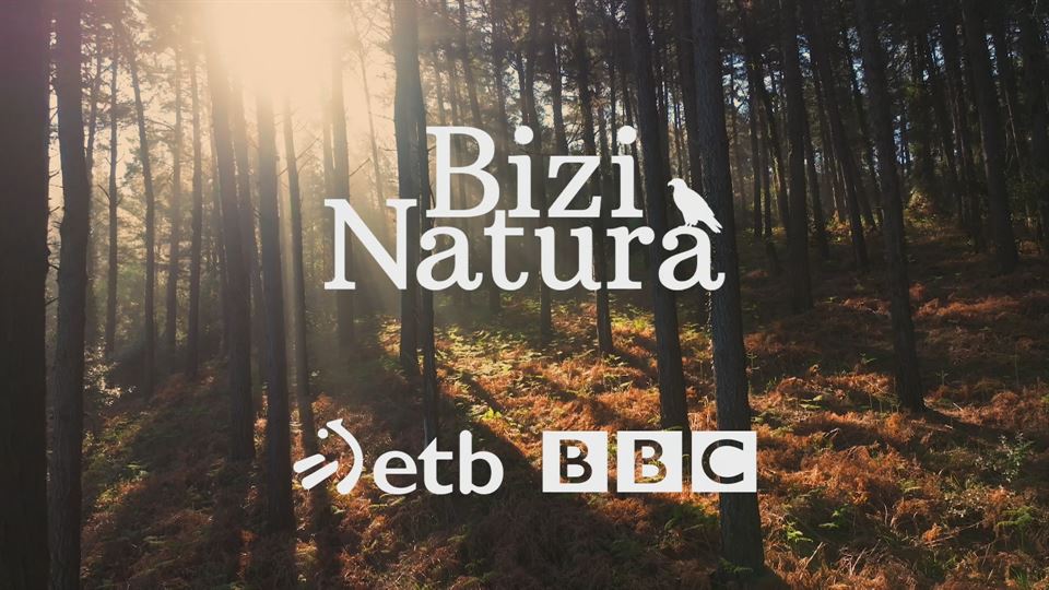Bizi Natura