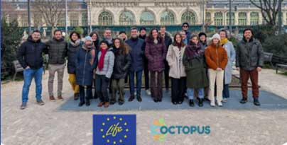 Life Octopus