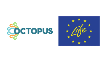 LIFE OCTOPUS