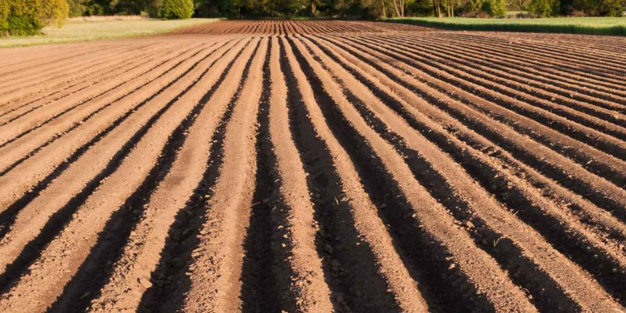 Curso de autocompostaje comunitario para maestros y maestras compostadores 2021