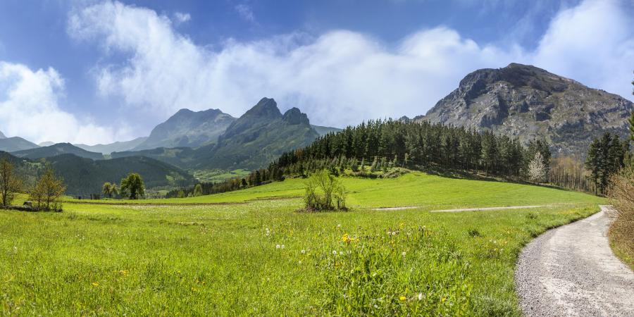 COYUNTURA AMBIENTAL EUSKADI 2024